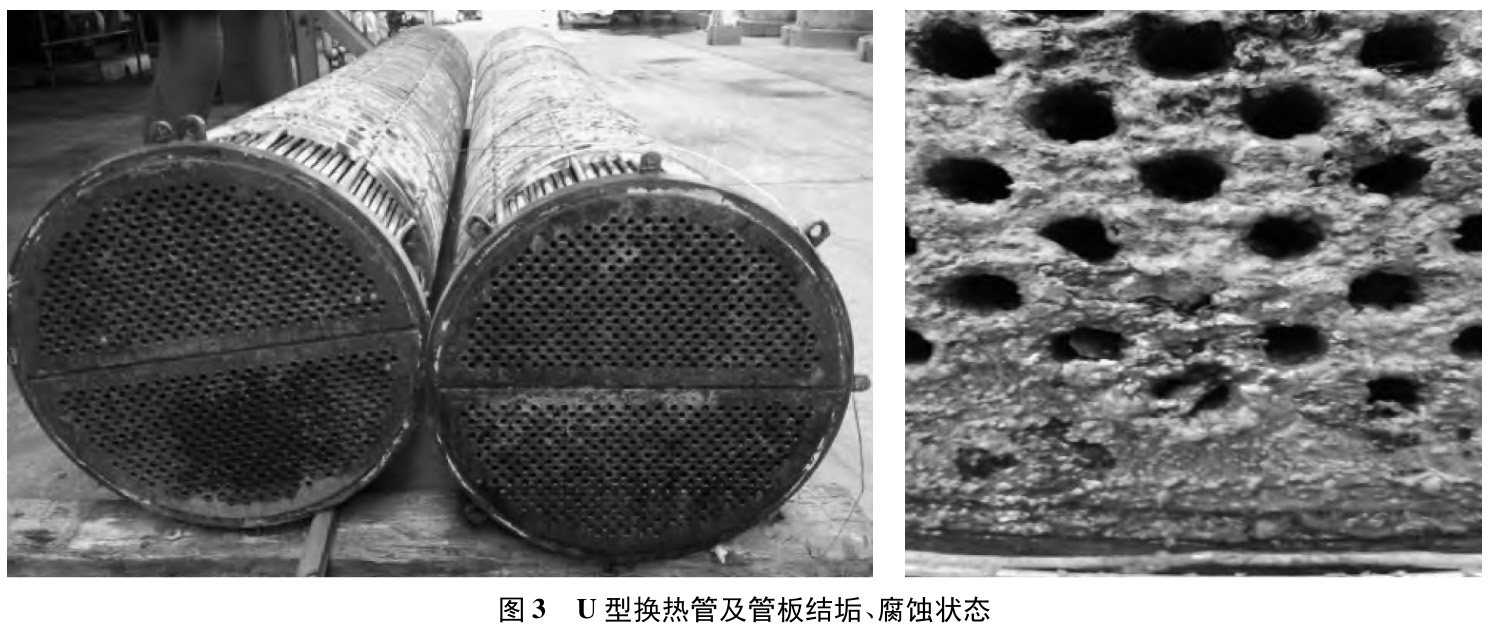 1738415329685137.jpg 3.jpg