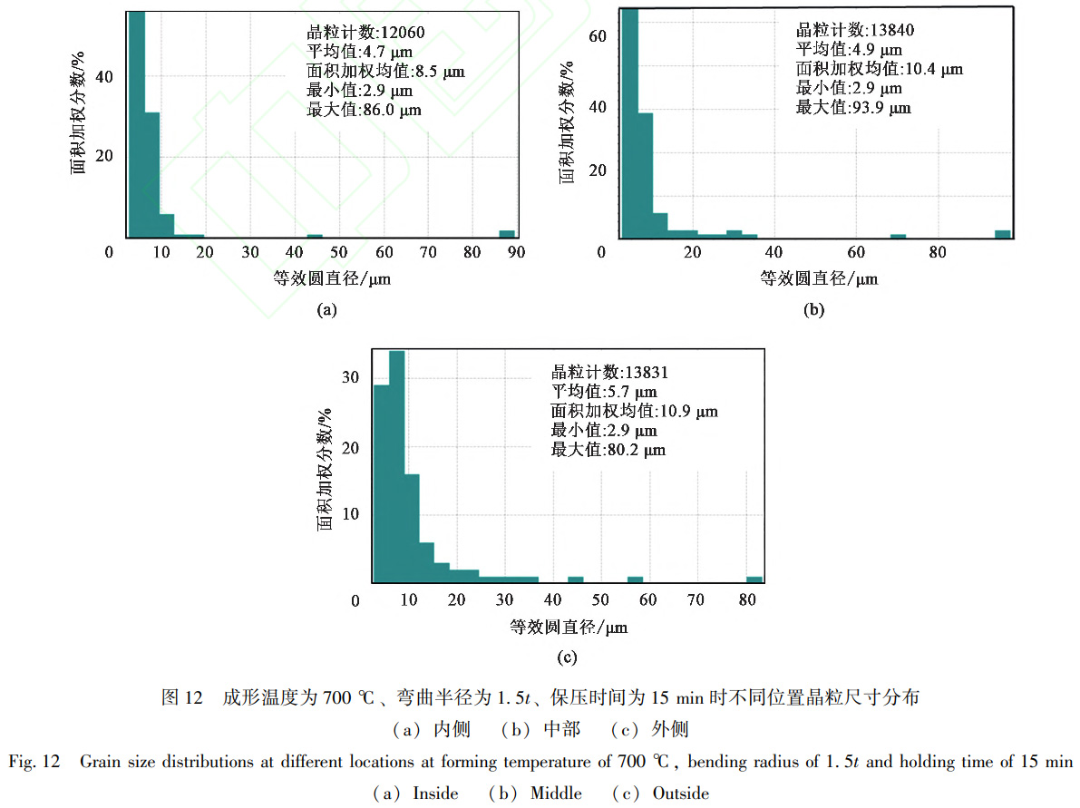 1738670905192912.jpg t12.jpg